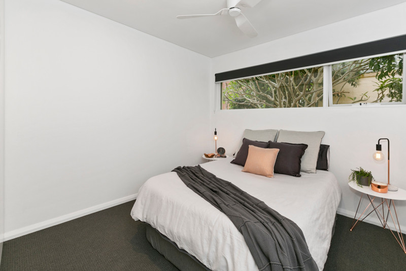 This is an example of a mid-sized contemporary guest bedroom in Sydney with white walls and carpet.