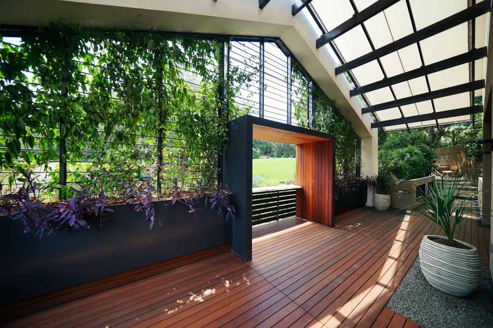 Foto di un piccolo patio o portico minimalista davanti casa con un parasole, un giardino in vaso e pedane