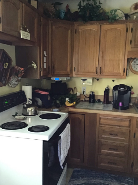 Full Kitchen Remodel trendy