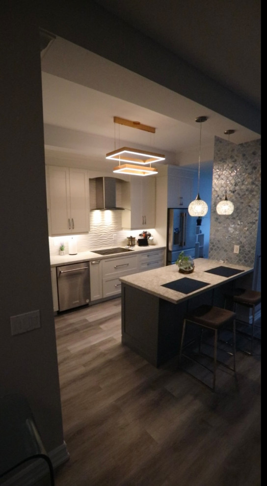 Penthouse Condo Apaerment in Square one Mississauga - Kitchen Remodeling