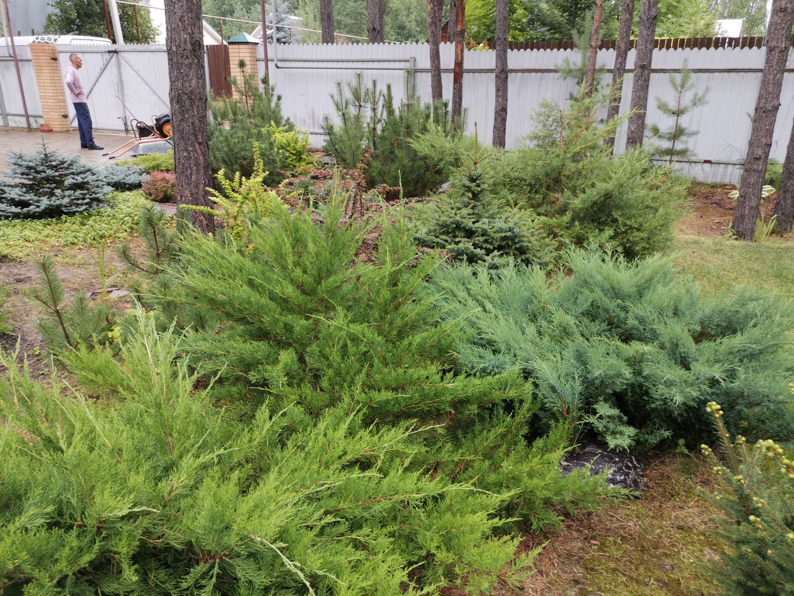 Лесная сказка Марий Эл. Сад в стиле Naturgarden