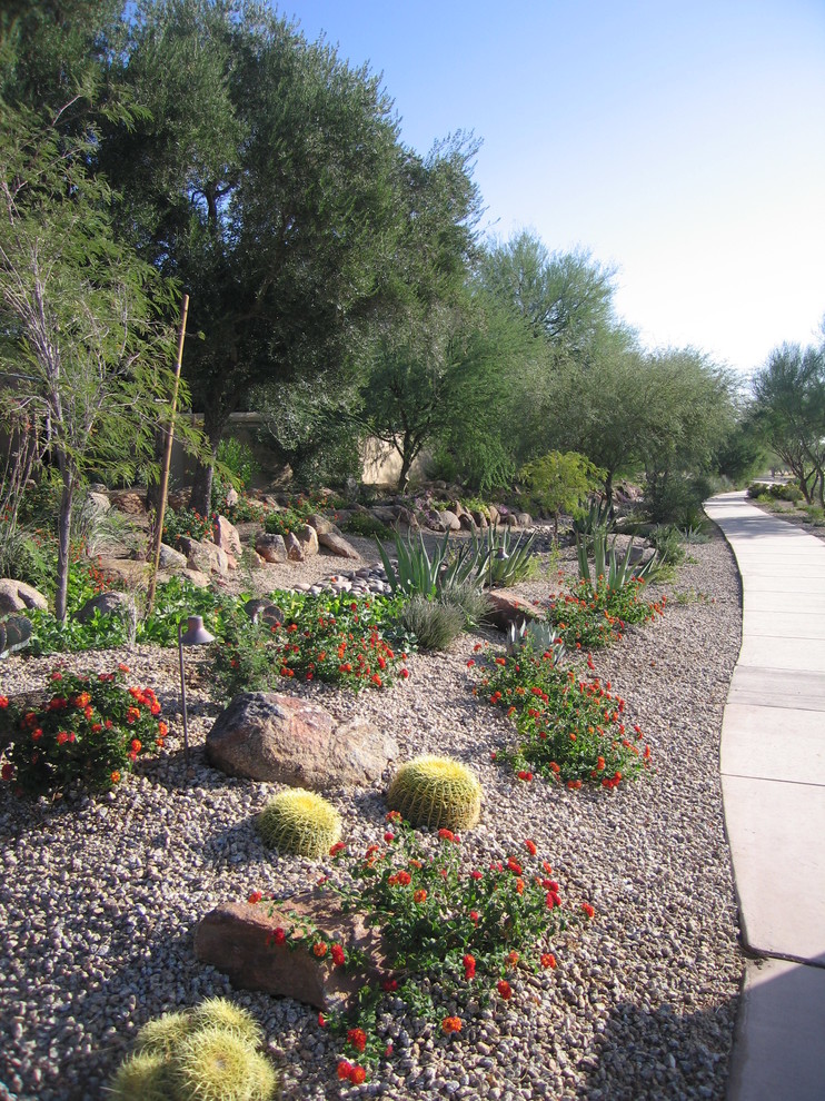 Photo of a full sun garden in Phoenix.