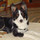 charlie_snead