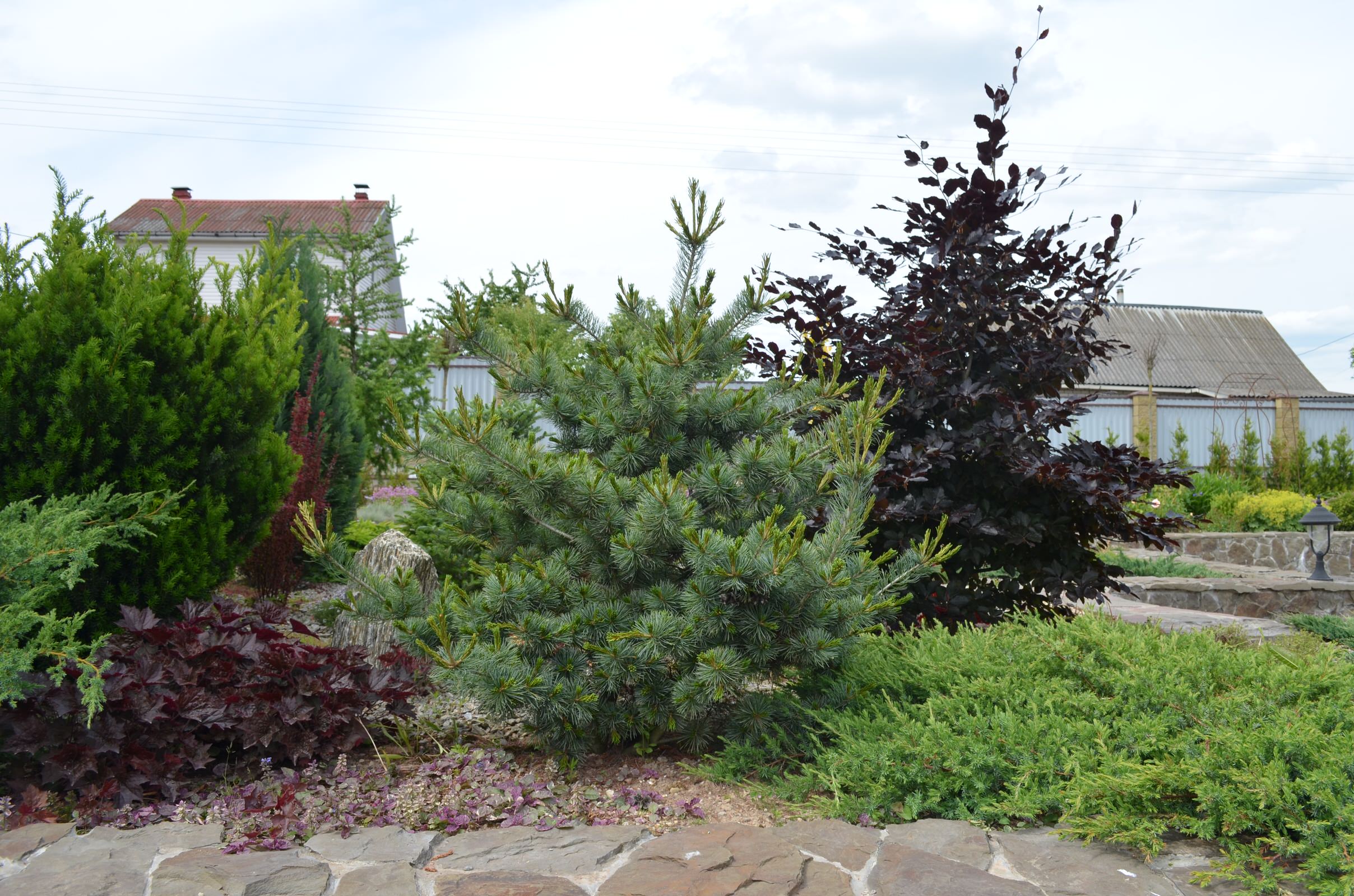 Сад "Ароматы Прованса"