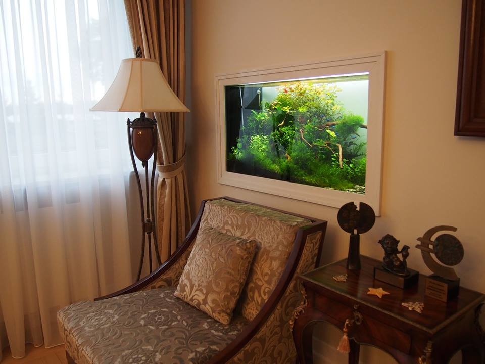 Аквадизайн