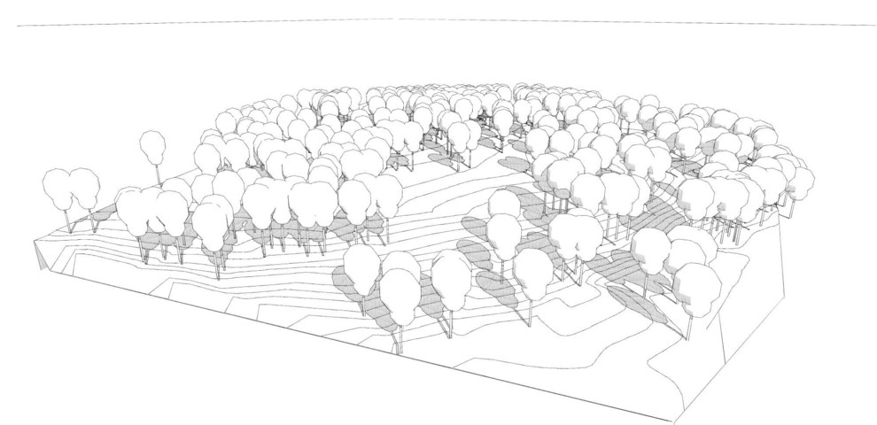 Ушаковские дачи