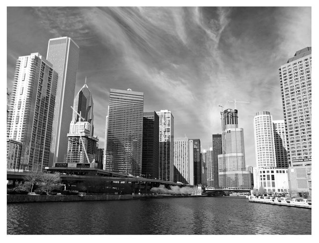 Chicago Skyline Wall Mural, Black and White, 400x309 cm