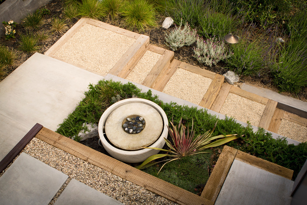 This is an example of a mid-sized contemporary front yard full sun xeriscape in Los Angeles with a garden path and gravel.