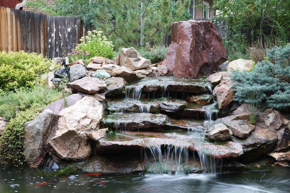 Design ideas for a transitional landscaping in Denver.