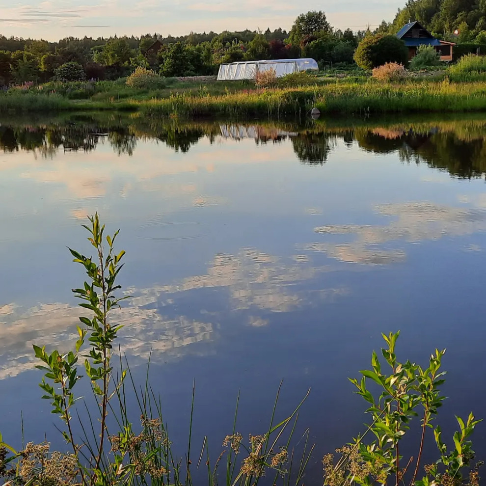 Пермакультурная личная усадьба.