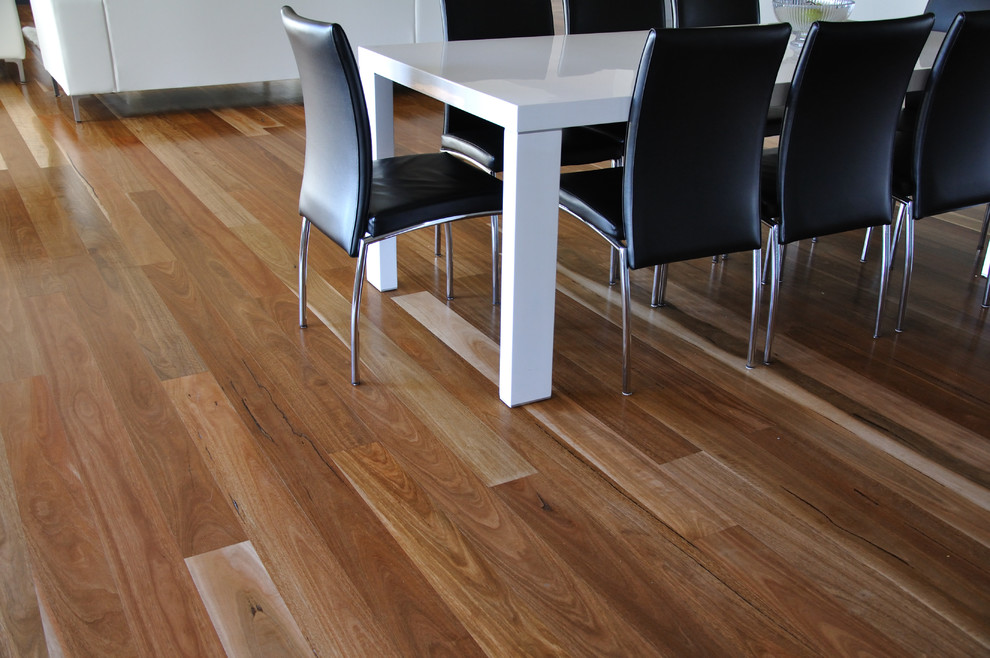 Design ideas for a contemporary open plan kitchen in Sydney with medium hardwood floors and brown floor.