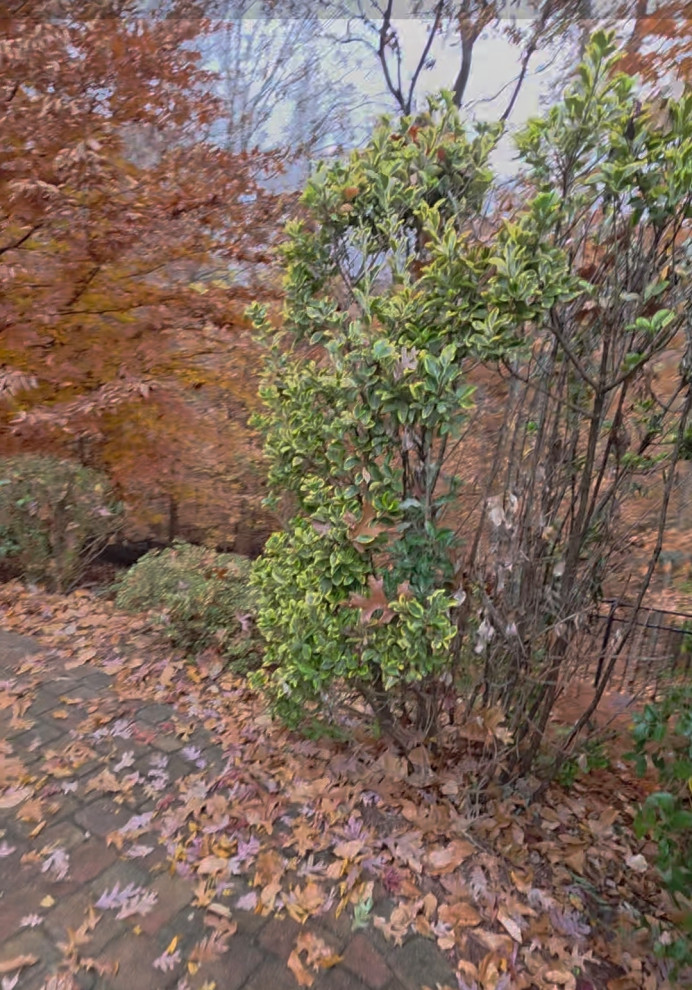 Retaining Wall - Before