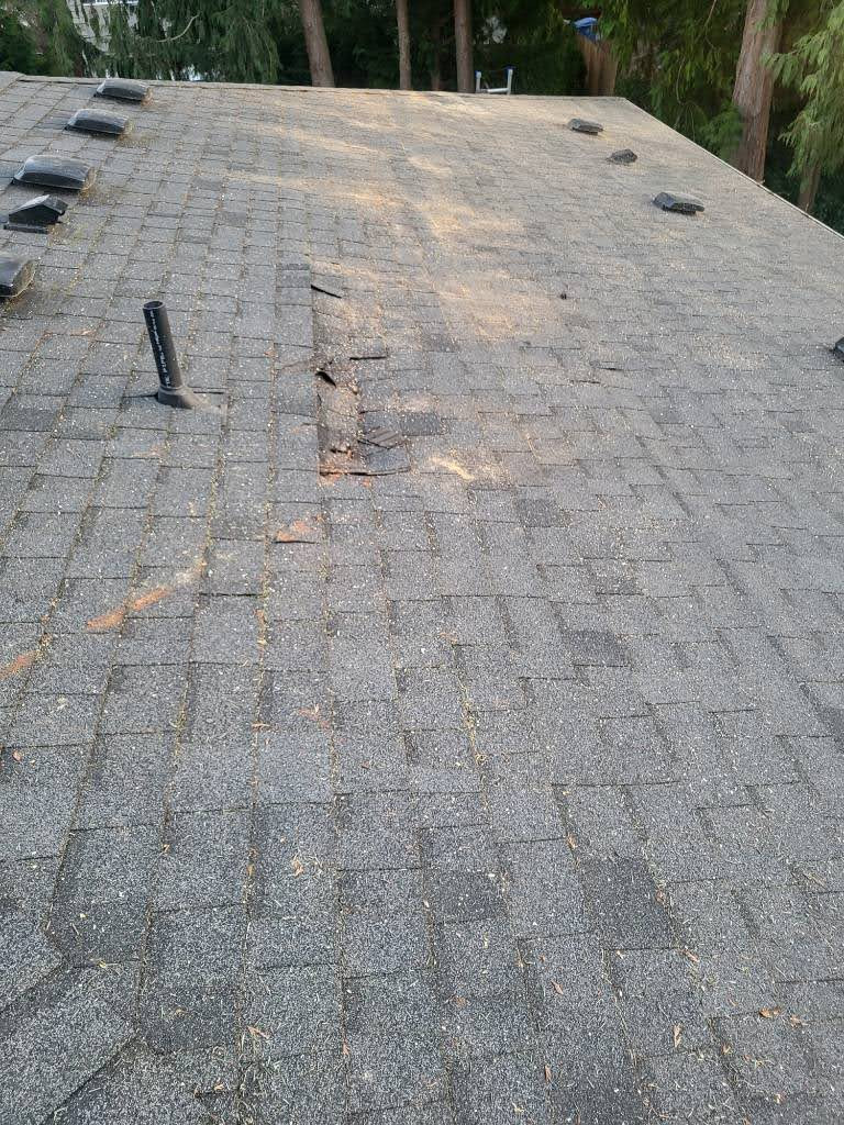 Roof Replacement