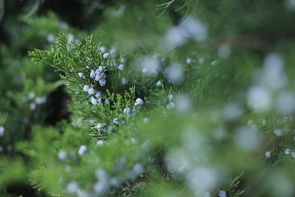 Ландшафт в деталях