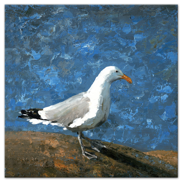 Painted Coastal Seagull 36x36 Canvas Wall Art Beach Style Prints And Posters By Designs Direct Houzz - Seagull Wall Art Paintings