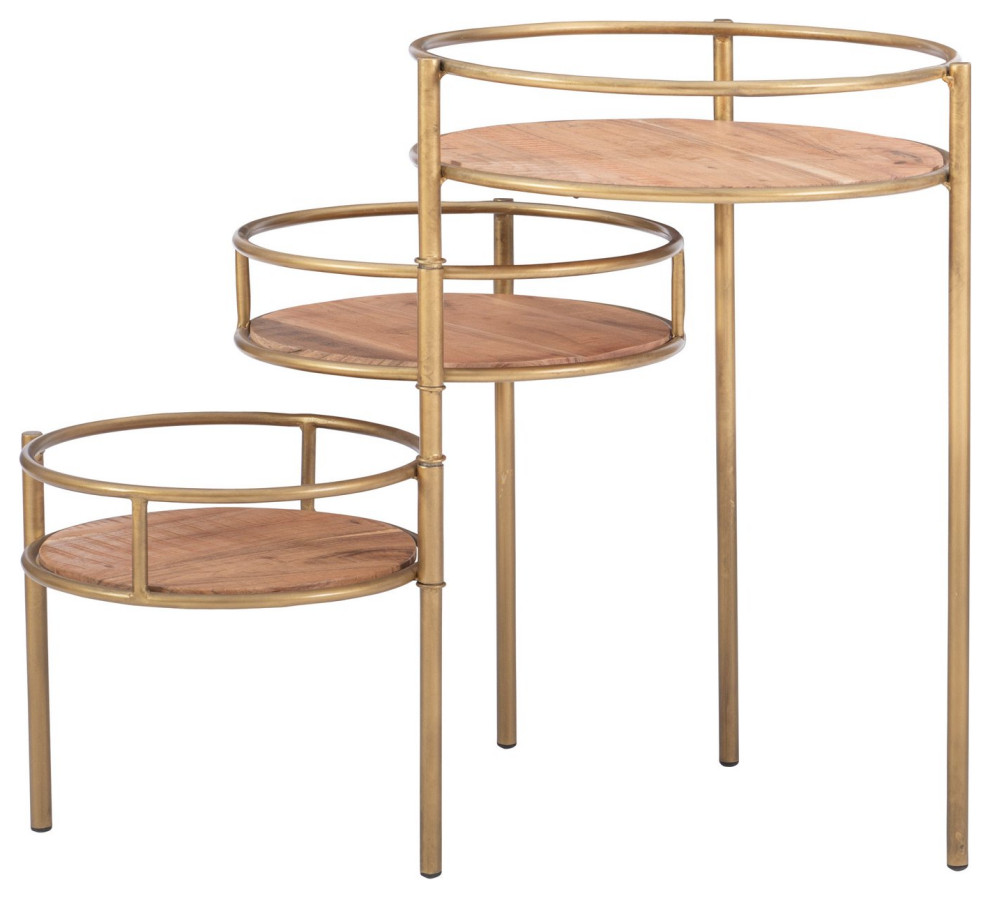 Transitional End Table, Unique Nesting Design With Round Acacia Wood Tops, Gold