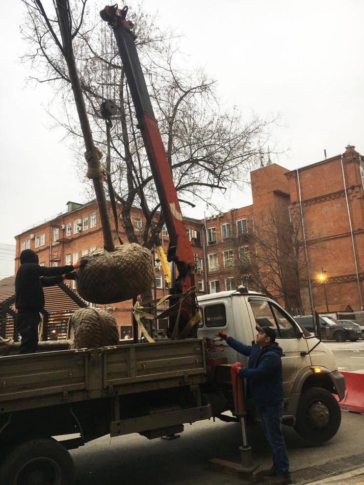 В работе 2021-2020-2019-2018-2017-2016