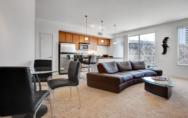 My Houzz: Modern High-Rise Singleton in Austin