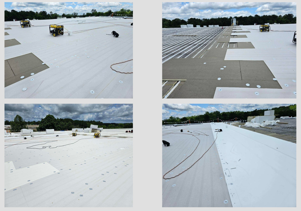 TPO Roofs