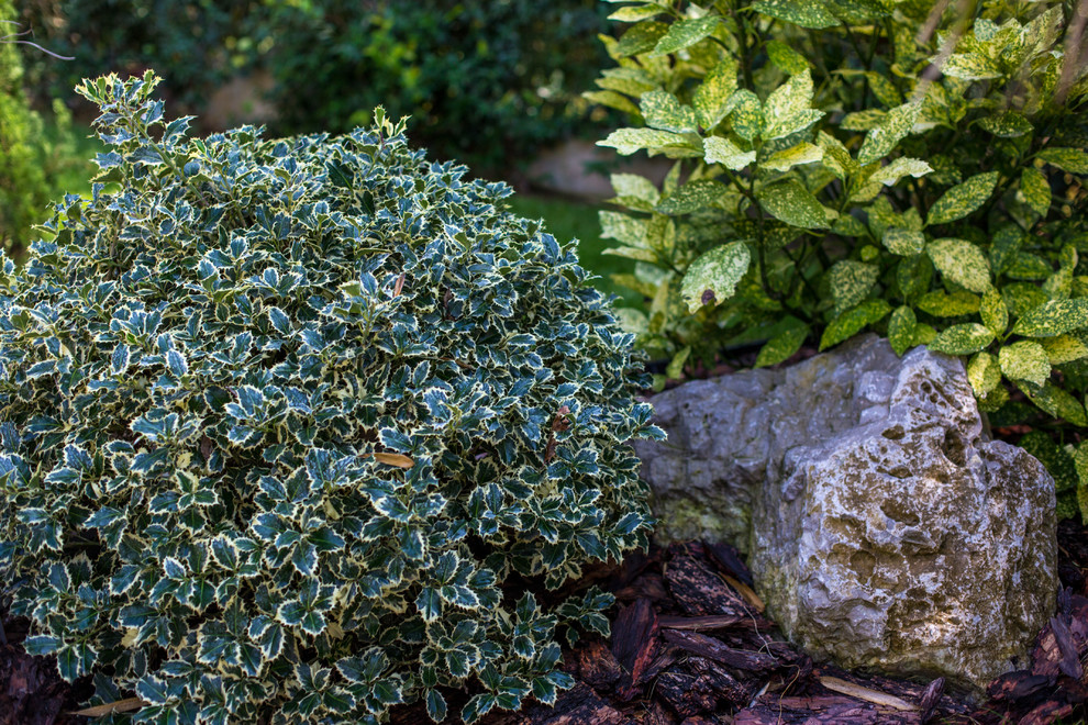 Ландшафтный Дизайн Олимпийский Сочи