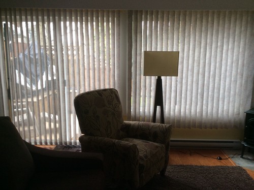 Need help for living room windows  