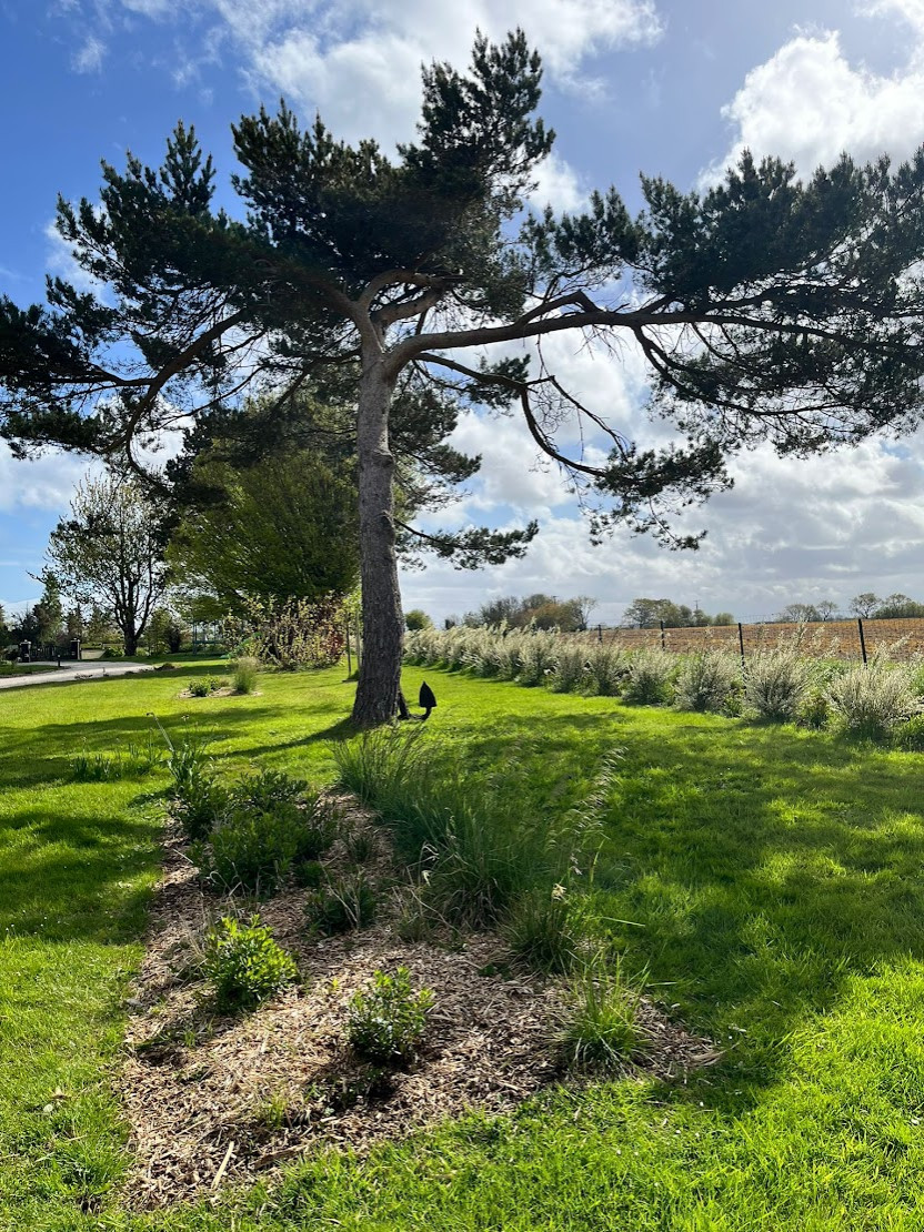 Un jardin qui s'ouvre sur les champs - 2024