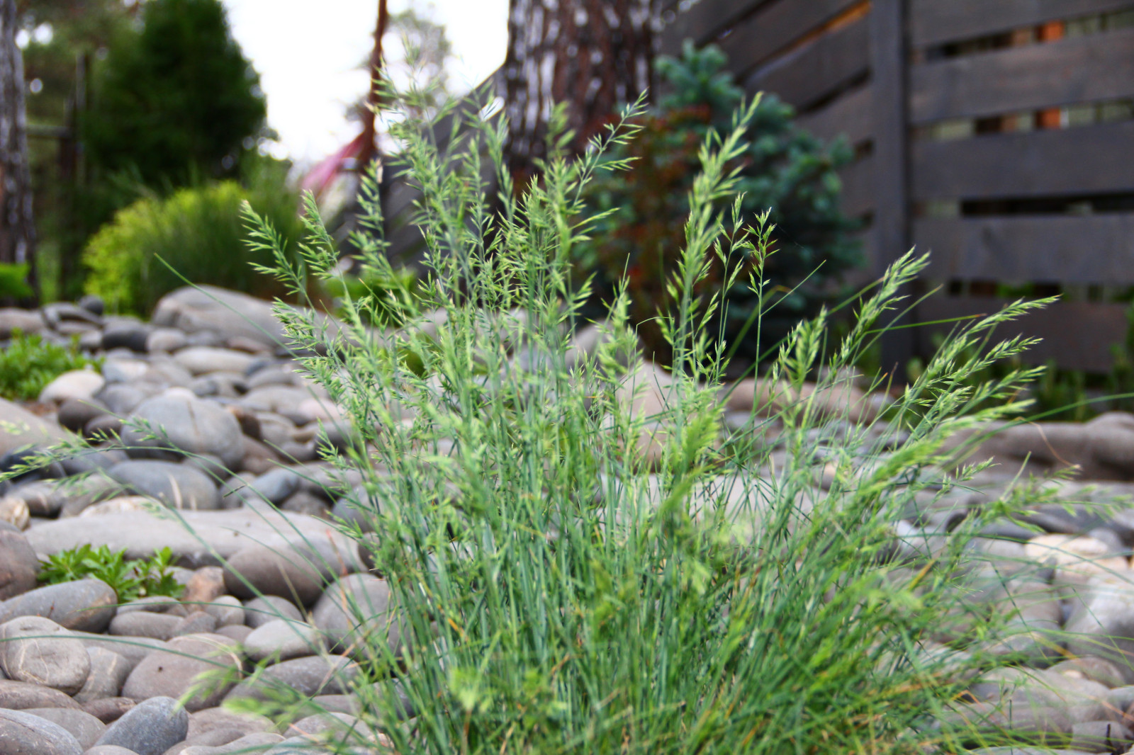 Создание уютного сада в Челябинске от Ландшафт74