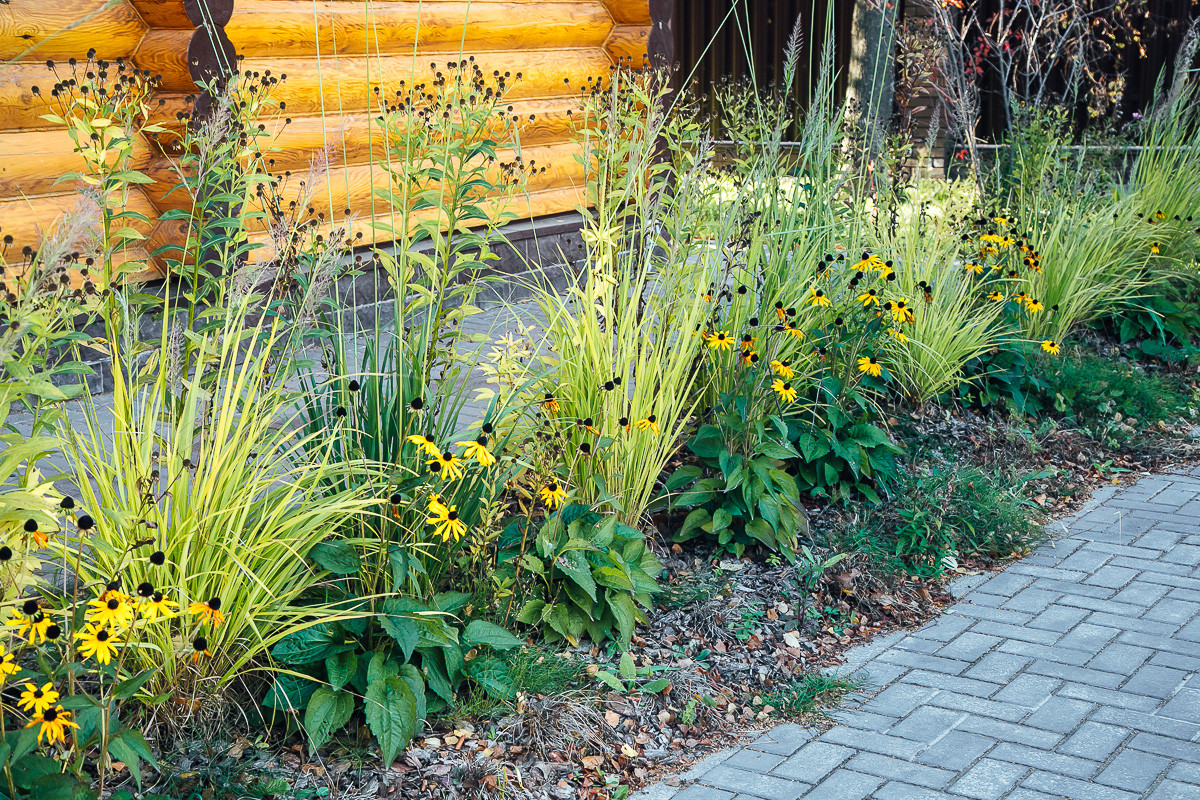 Русские Забавы