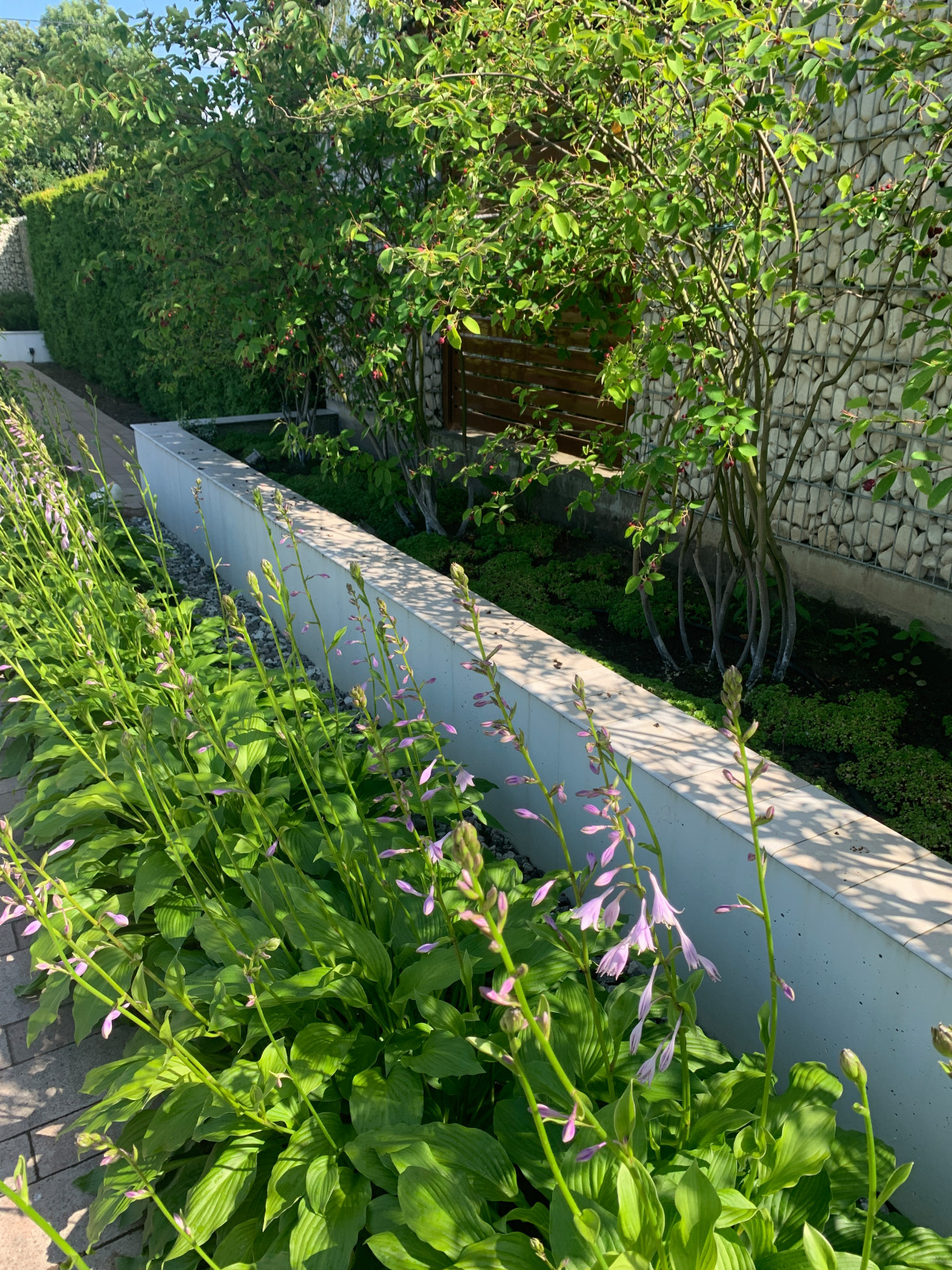 Современный сад для семьи