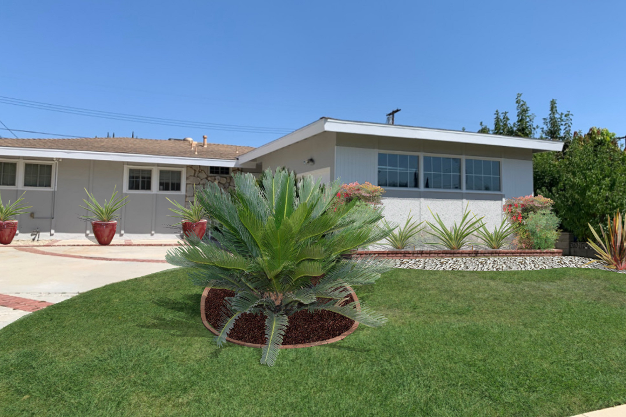 Foundation Plantings