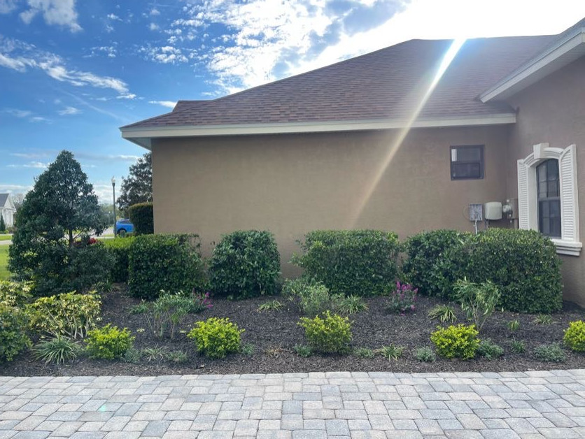 Revamp Landscape New Mulch and Plant Design