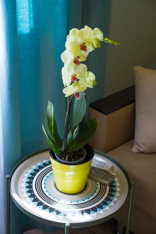 Реализация проекта мини-гостиницы "Salstory"