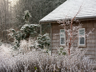 Great Plant Combinations - Seattle - von Le jardinet