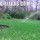 Urellas Irrigation & Landscaping LLC