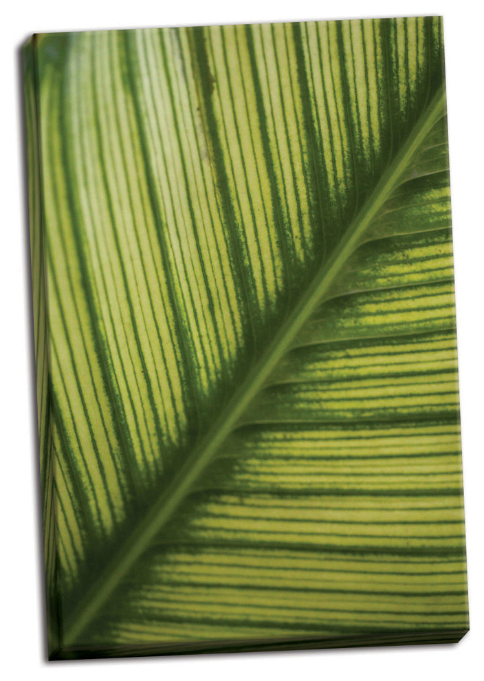 Fine Art Photograph, Leaf Detail 2, Hand-Stretched Canvas