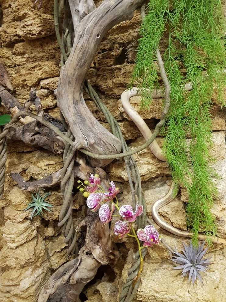 Террарий для змей