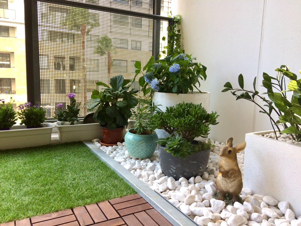 Design ideas for a small contemporary balcony in Sydney.