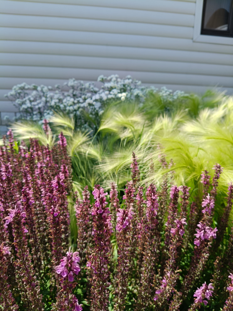 Современный цветник