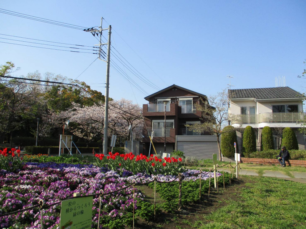 ⑰南側公園からの外観