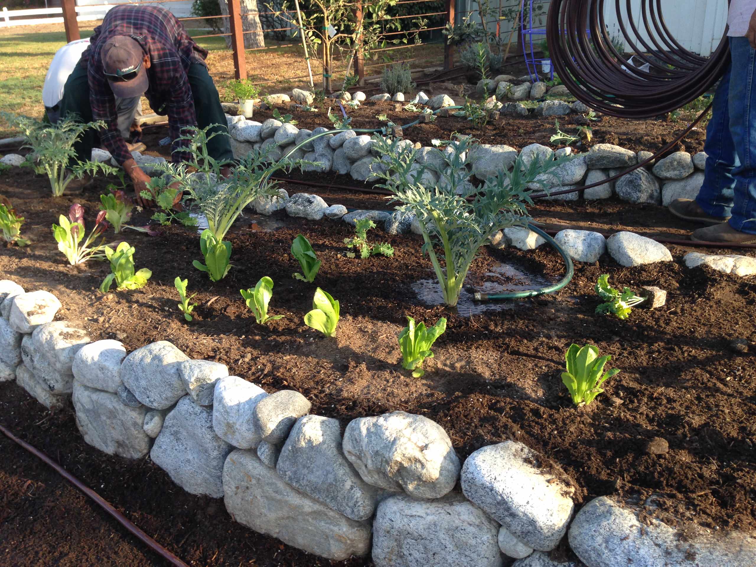 Raised Rock Garden Ideas