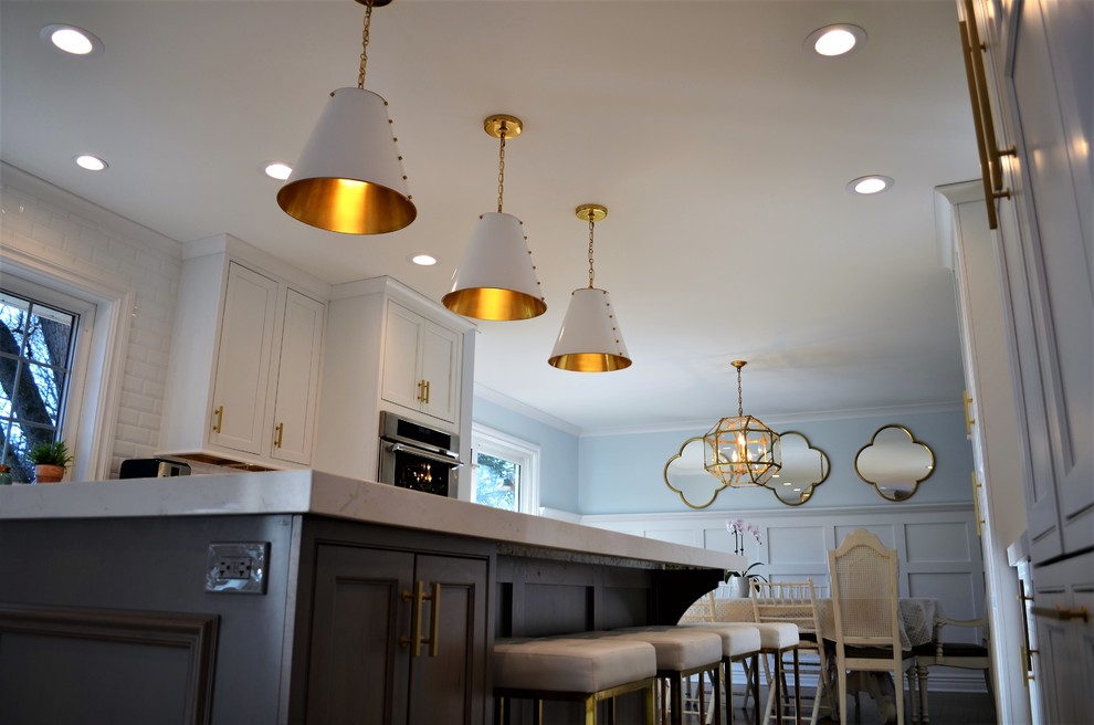 Home design - transitional home design idea in Chicago