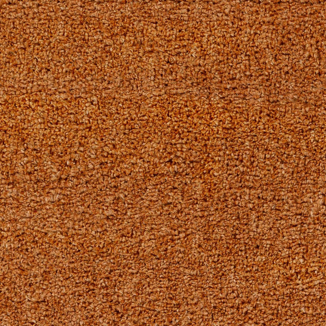Digby 6'7" x 9' Area Rug
