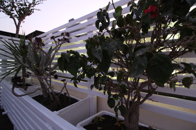 La terrazza di Stefano modern-traedaeck