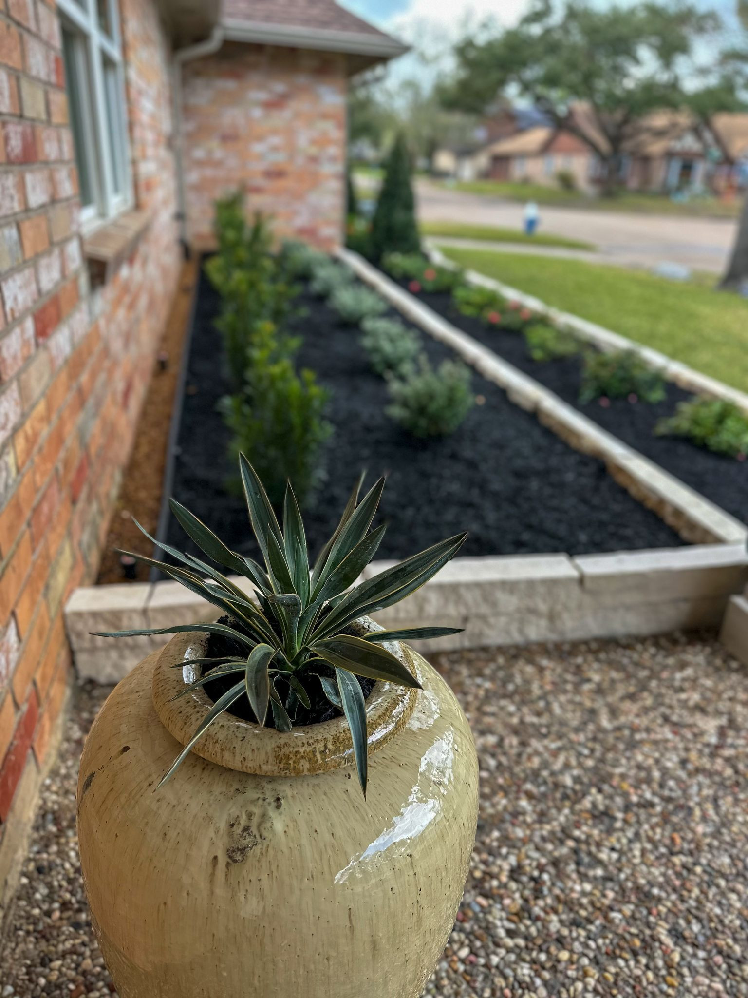 Front yard makeover at Durban Dr!
