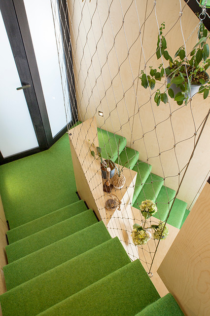 Acute House contemporary-trappa