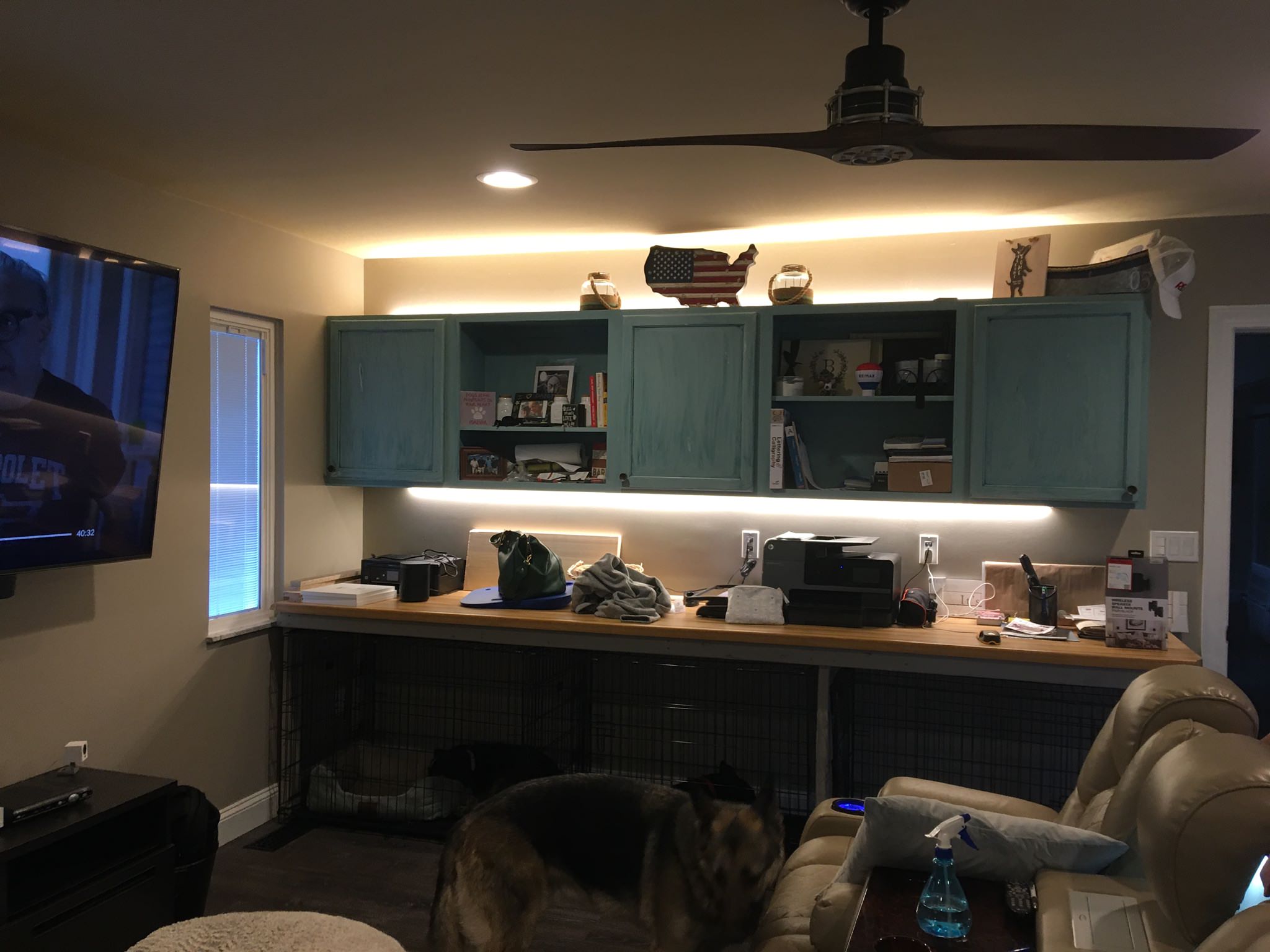 Custom bathroom and back room office/workout/pet room