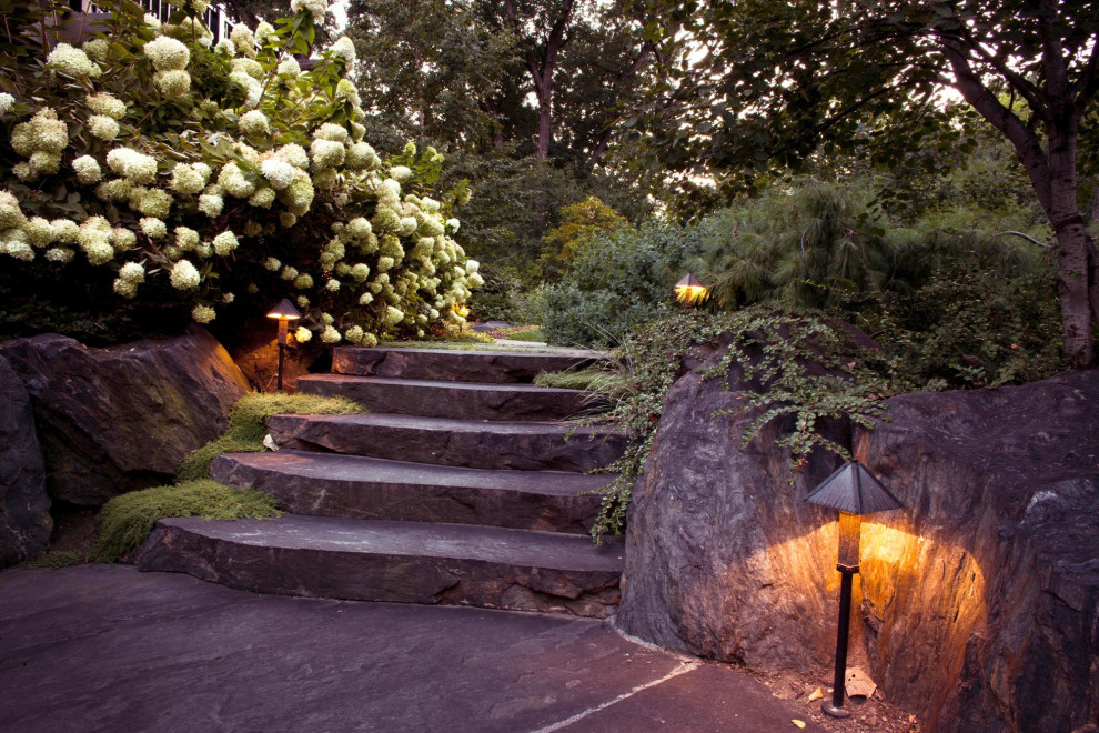 Example of a mountain style home design design in Chicago