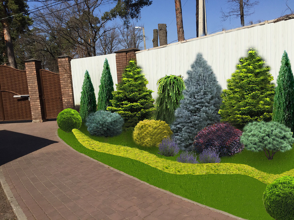 Проект Тригуляй