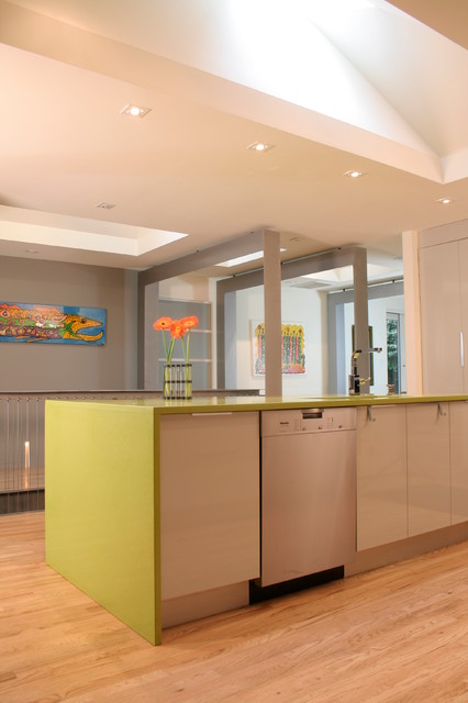 Shekar contemporary-kitchen