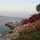 mark_greenwald65